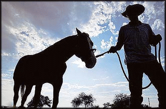 Cowboy and horse.gif